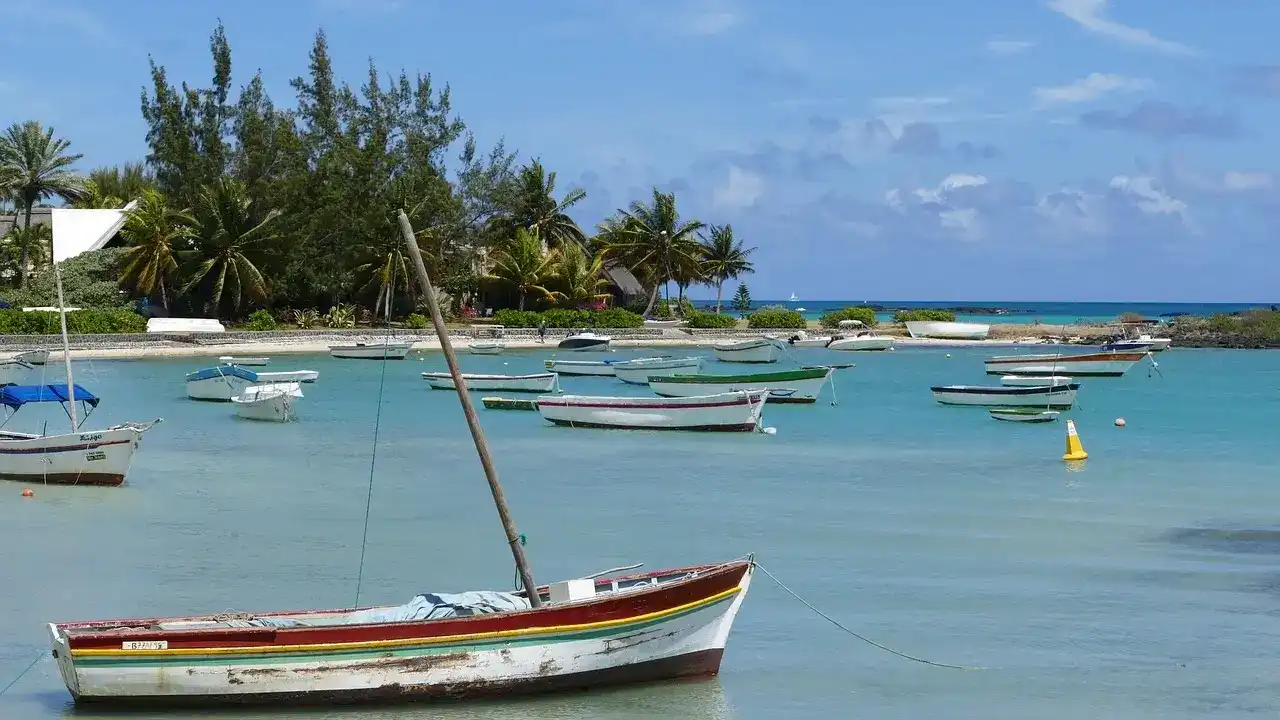 Excursion à l’île aux Cerfs en catamaran